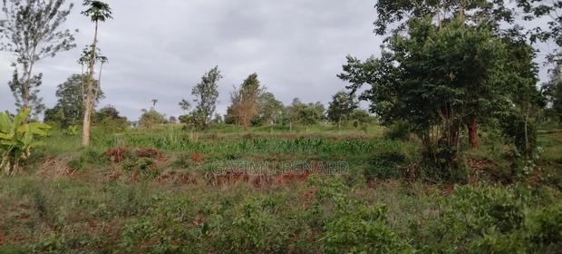 Prime One Acre Land for Sale in Kirinyaga Kimbimbi - main view