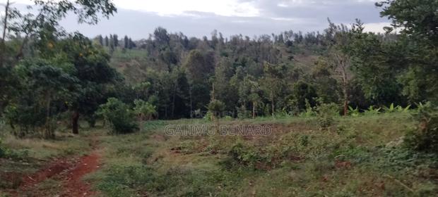 Prime One Acre Land for Sale in Kirinyaga Kimbimbi - thumbnail 3