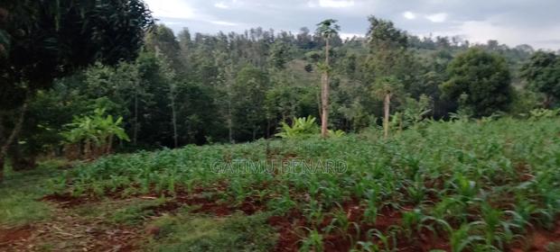 Prime One Acre Land for Sale in Kirinyaga Kimbimbi - thumbnail 4