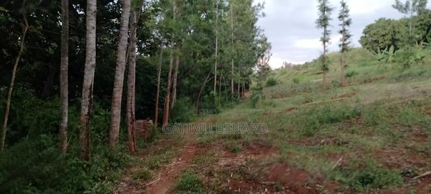 Prime One Acre Land for Sale in Kirinyaga Kimbimbi - thumbnail 5
