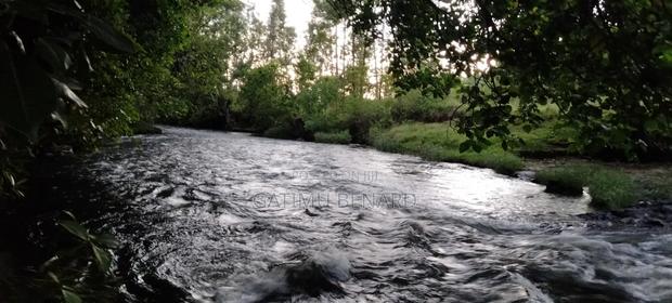 Prime One Acre Land for Sale in Kirinyaga Kimbimbi - thumbnail 6