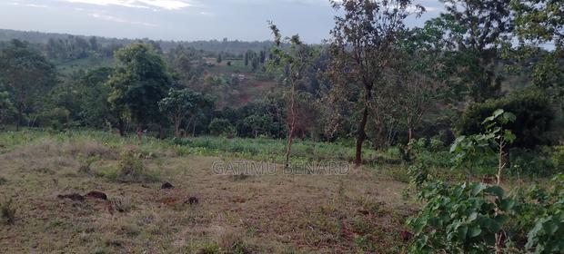 Prime One Acre Land for Sale in Kirinyaga Kimbimbi - thumbnail 7