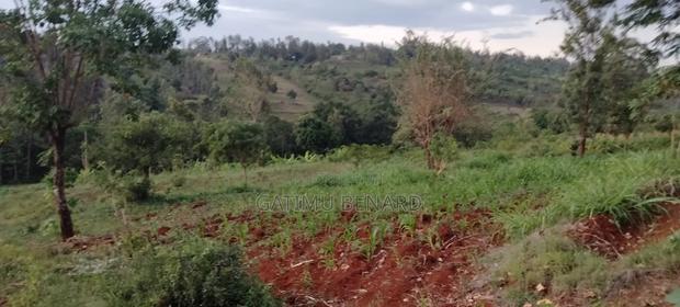 Prime One Acre Land for Sale in Kirinyaga Kimbimbi - thumbnail 8