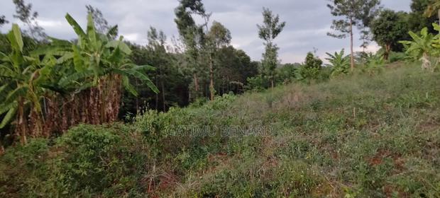 Prime One Acre Land for Sale in Kirinyaga Kimbimbi - thumbnail 9