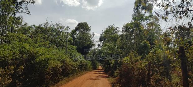 Prime One Acre Land for Sale in Kirinyaga Kimbimbi - thumbnail 10