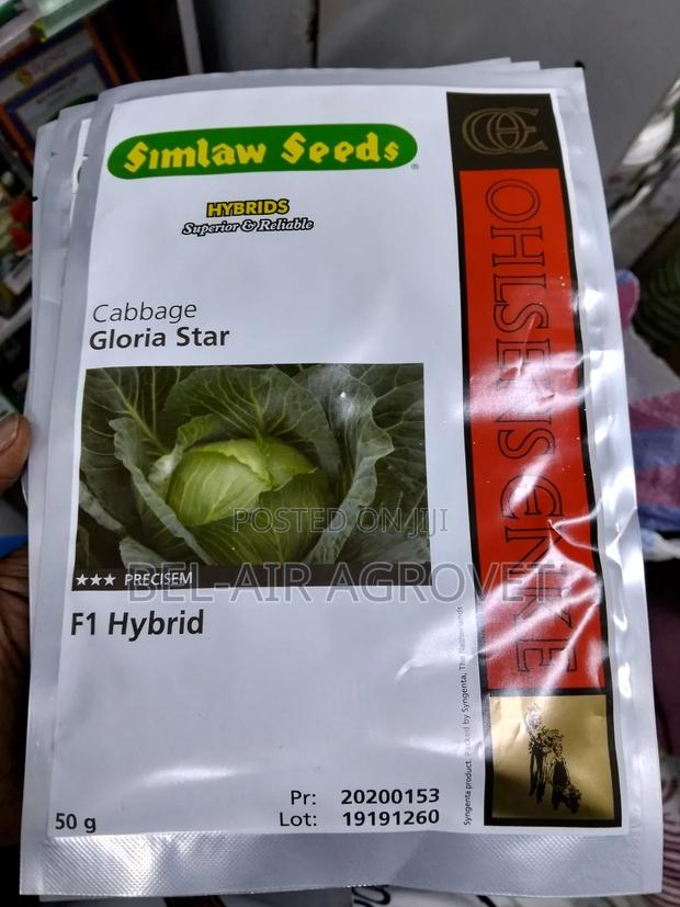 Gloria Star F1 50gm