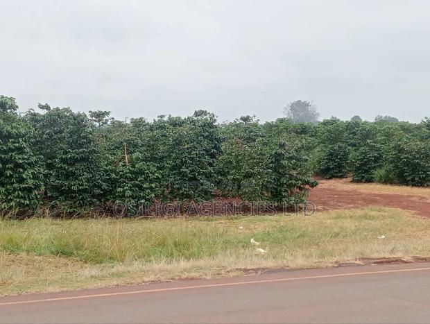 Kiambu 302 Acres Coffee Estate