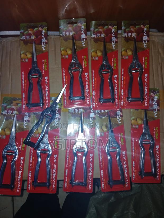 Pruning/Harvesting/Trimming Scissors/Pliers. - main view
