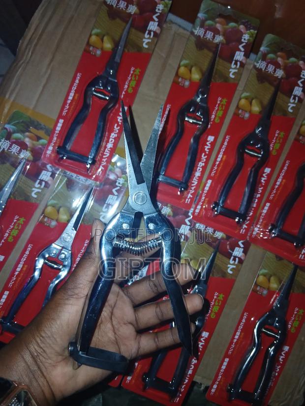 Pruning/Harvesting/Trimming Scissors/Pliers. - thumbnail 2