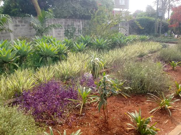 0.8acre Prime Land for Sale at Lavington
