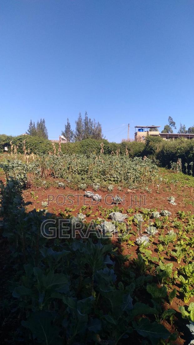 Hot Deal! 50x100 Plot for Sale in Uplands–Limuru (Ksh 1.1m)