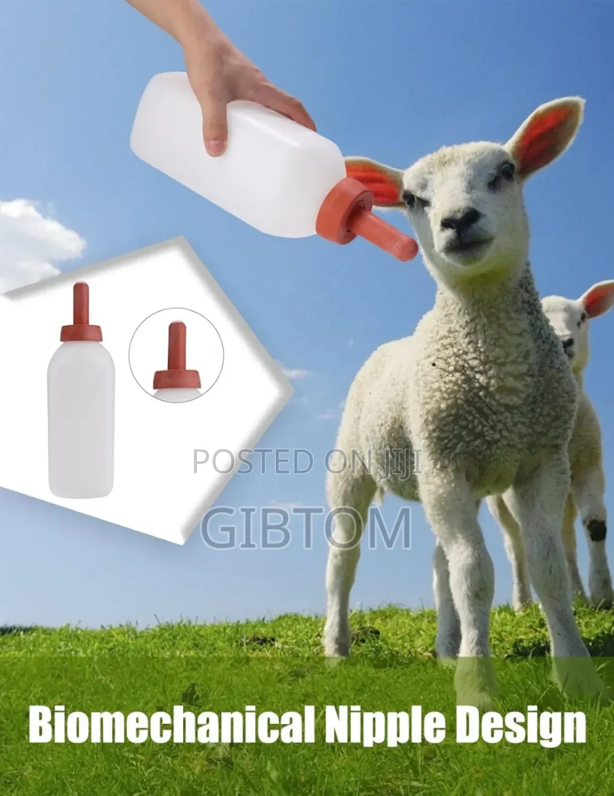 Calf Bottle