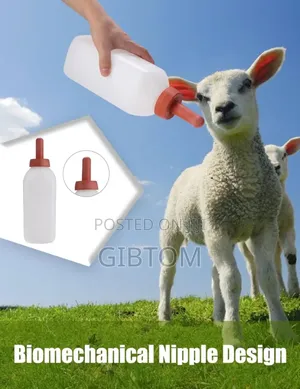 Calf Bottle