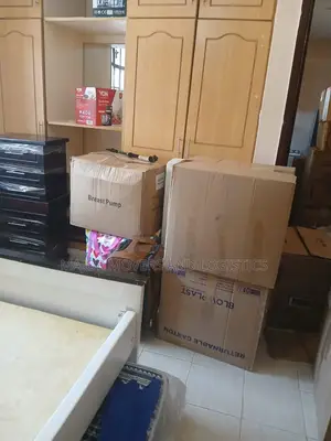 Cross Border Professional Movers and Packers Services Are Available