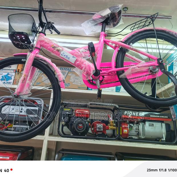 Pink Size 20 Bicycle - main view