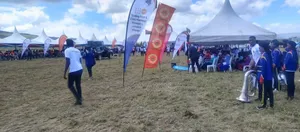 Teardrop Banner Printing