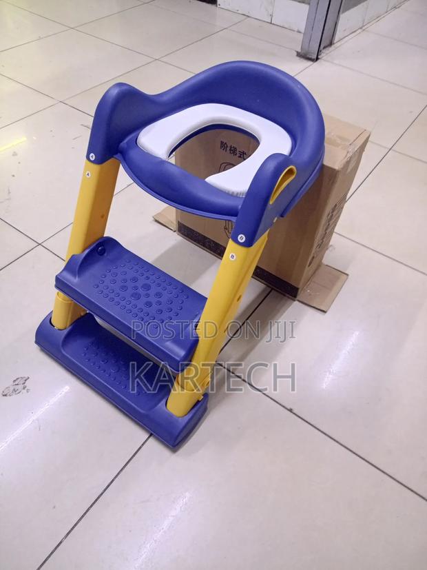 Kids Potty Training Seat With Step Ladder