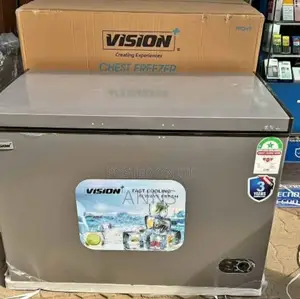Lower Power Consumption Vision 300litres Freezer