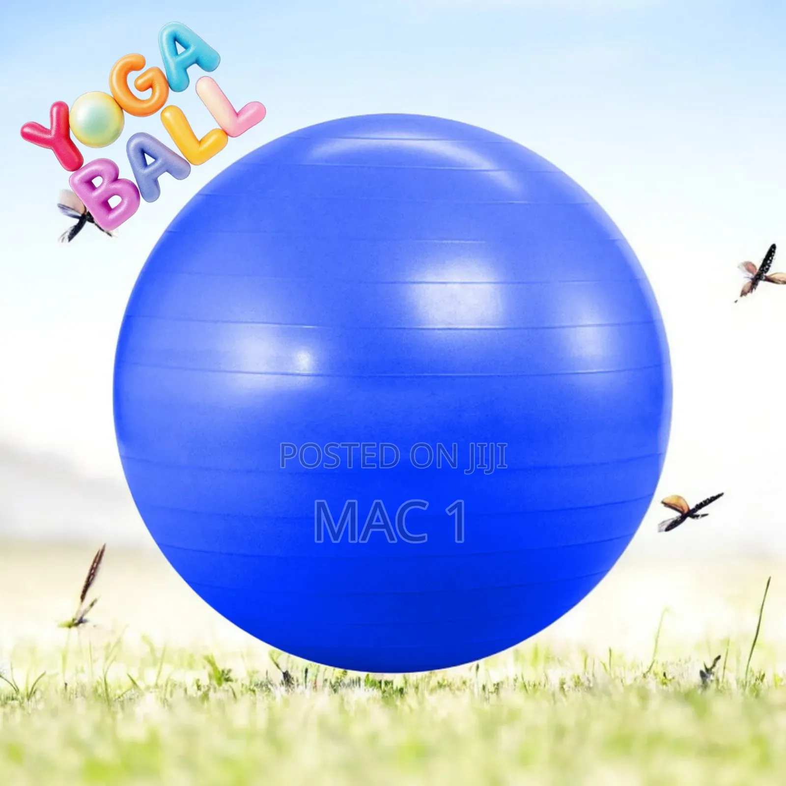 Yoga Ball/Gym Ball