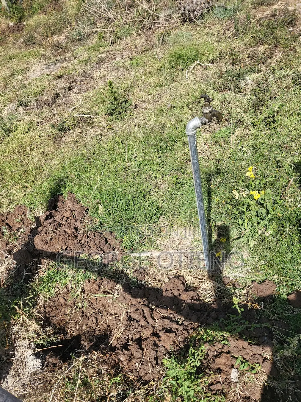 50x100 Plot for Sale – Ngong • Kimuka