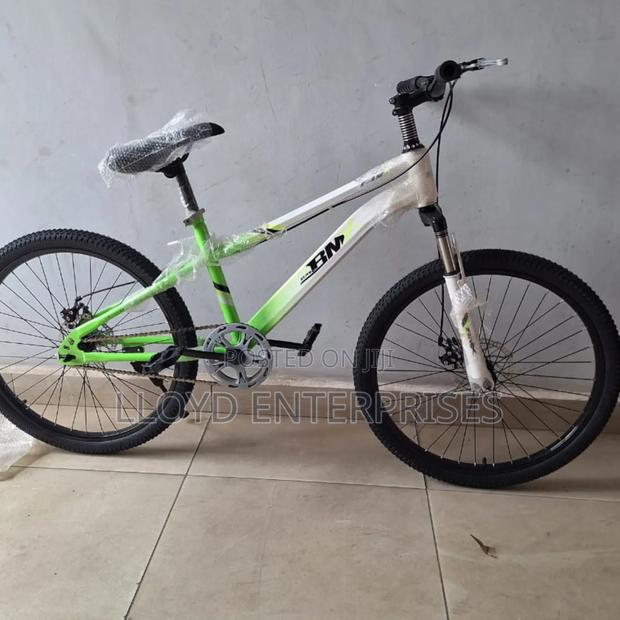 Green 10yrs Kid Size 24 Bicycle