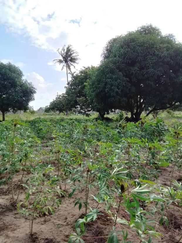 Residential Plots -Bububu - thumbnail 3