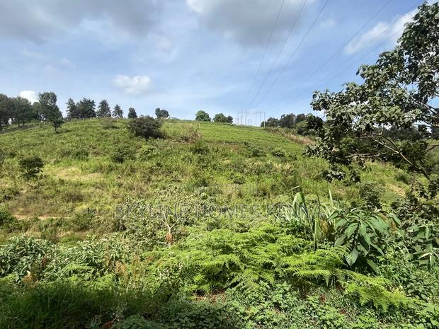 10 Acres - Redhill for Sale - thumbnail 4