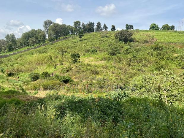 10 Acres - Redhill for Sale - thumbnail 9