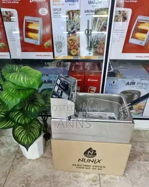 Electric Single Deepfrier -