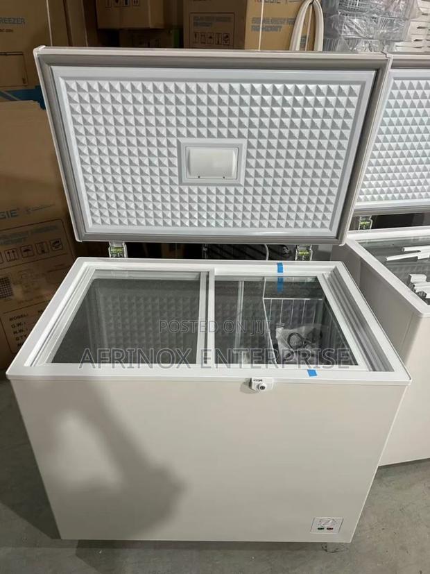 150ltrs Deep Freezer for Butchery and Groceries - main view