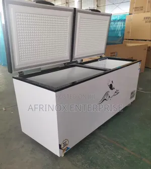 500ltrs Deep Freezer, Suitable for Commercial Purposes
