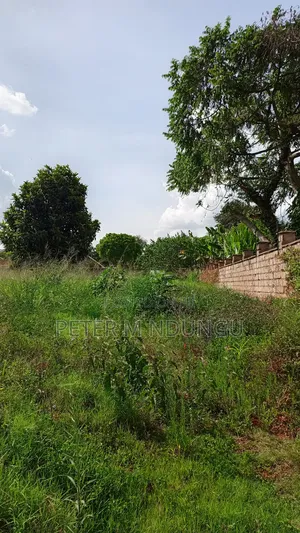 Runda Meadows- 1/2 Acre Land on Sale, Title