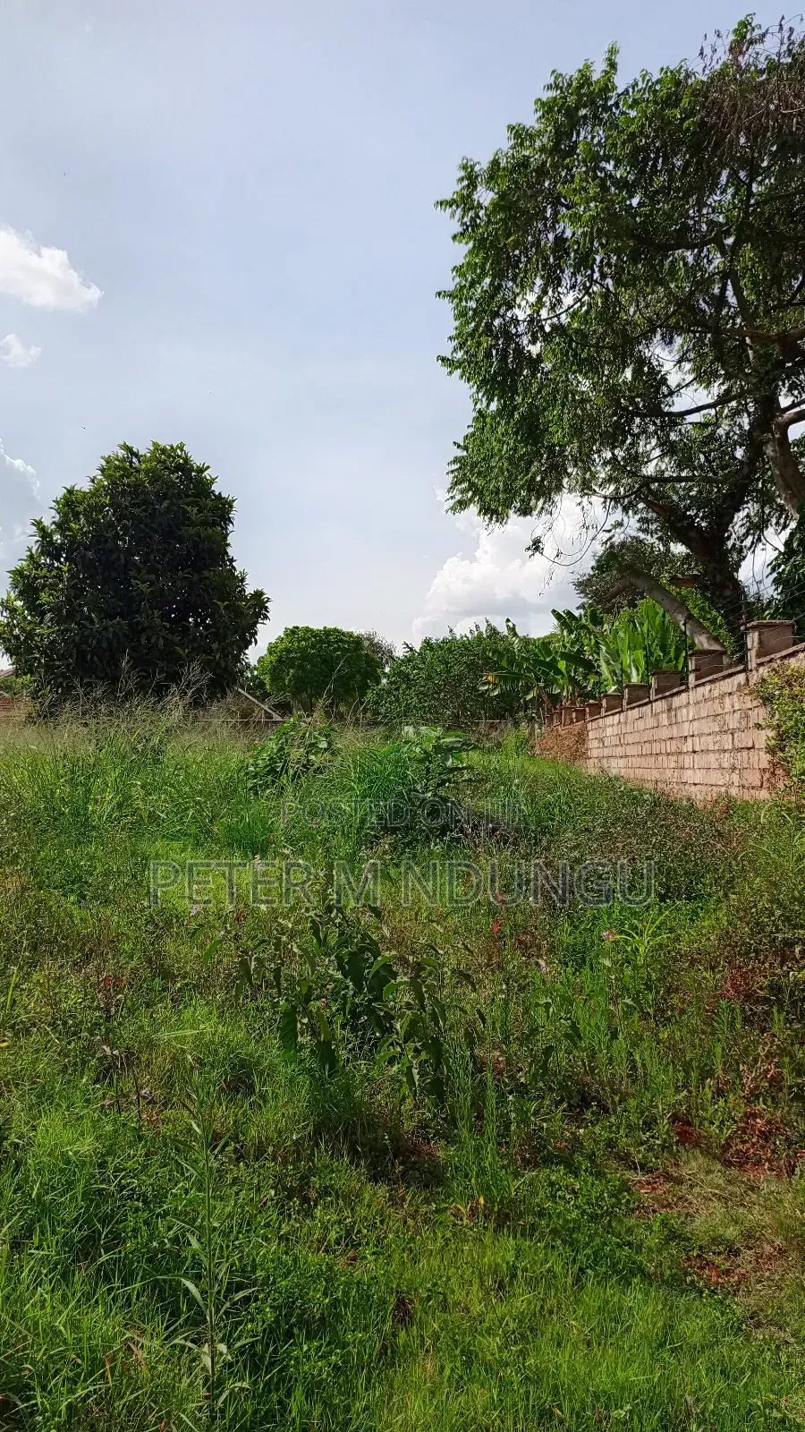 Runda Meadows- 1/2 Acre Land on Sale, Title