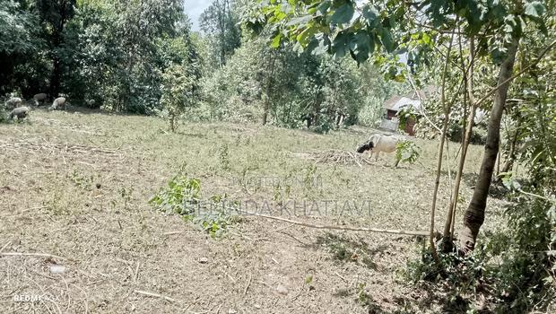 Prime 2.5 Points Land For Sale