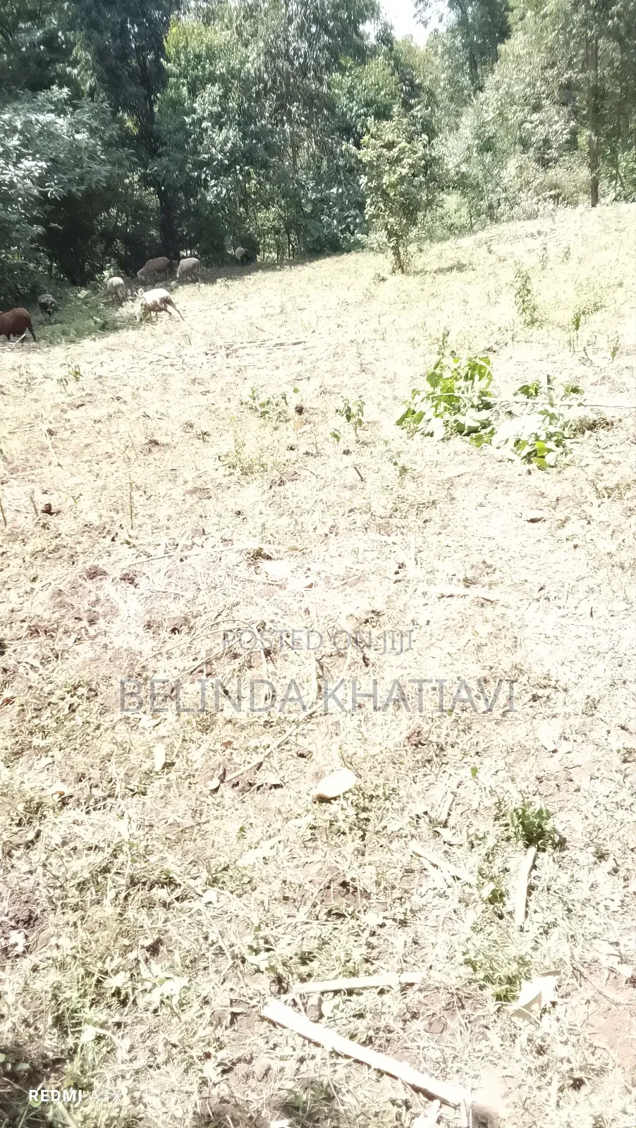 Prime 2.5 Points Land For Sale