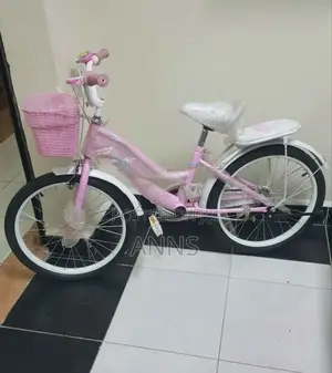 Size 20 Kids Bicycle (Pink Body)