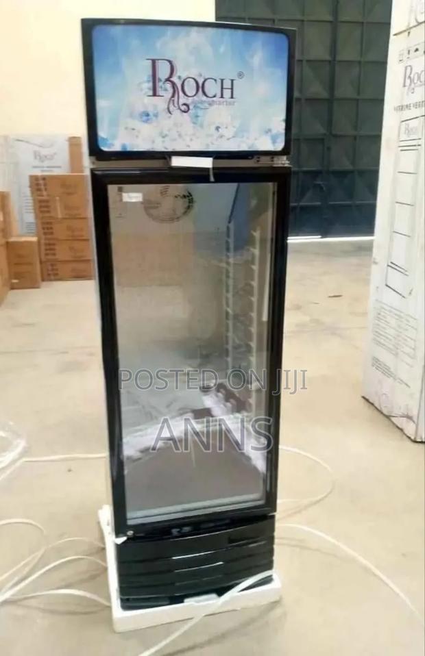 Roch 209 LTR Display Vertical Showcase Refrigerator RSF-250/F