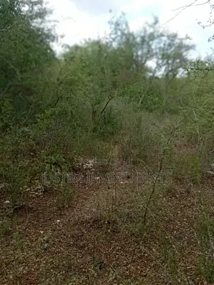 Land on Sale in Inyuu Zombe