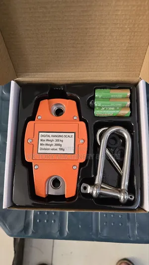 300kg Digital Hanging Crane Scale