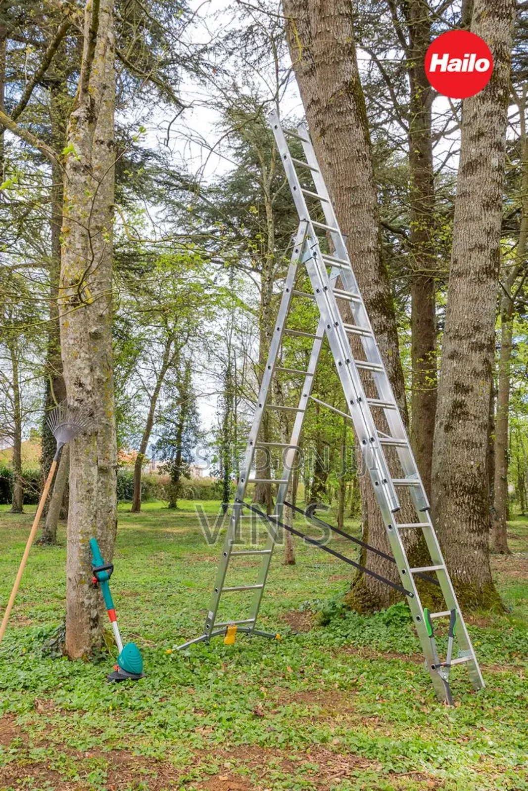 Extension Ladder#Extensiòn Laddèr)Extensiôn Laddër<Extensiõn Ladděr
