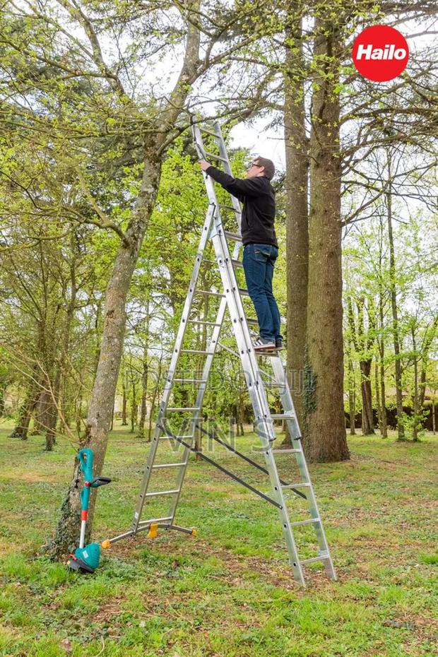 Extension Ladder%Extensíon Laddér]Extensìon Laddėr)Èxtension Ladděr* - main view