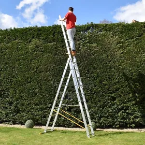 Extension Ladder~Extênsion Laddêr>Extėnsion Laddér#Extensiõn Laddér>