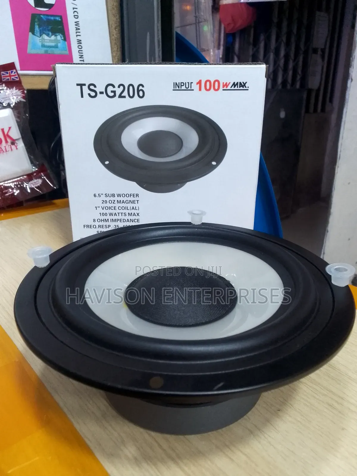 100w 6.5" Speaker