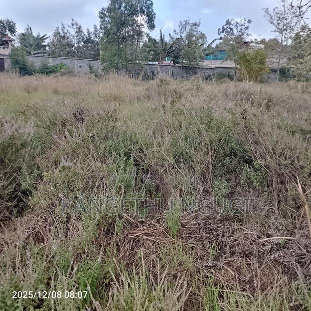 Quarter Acre Residential Plot at Mugumo Estate - thumbnail 2