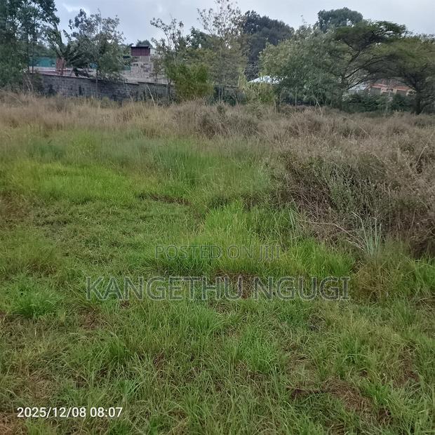 Quarter Acre Residential Plot at Mugumo Estate - thumbnail 4