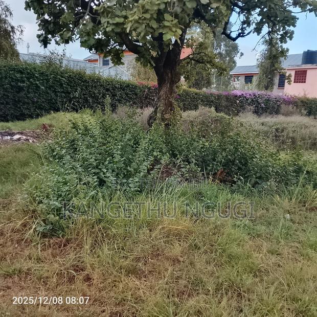 Quarter Acre Residential Plot at Mugumo Estate - thumbnail 6