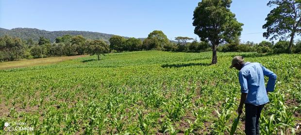 Land Lease - main view