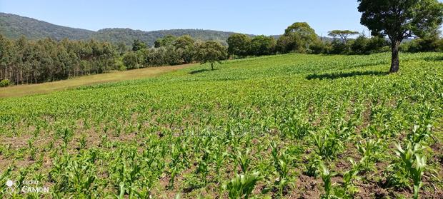 Land Lease - thumbnail 3