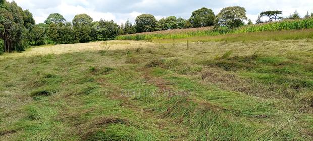 Land Lease - thumbnail 5