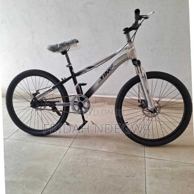 Bike Size 24